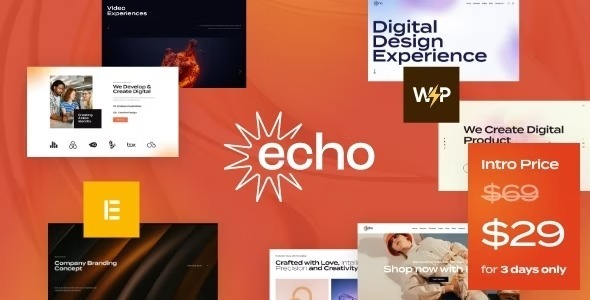 Echo Nulled Digital Marketing & Creative Agency WordPress Theme Free Download
